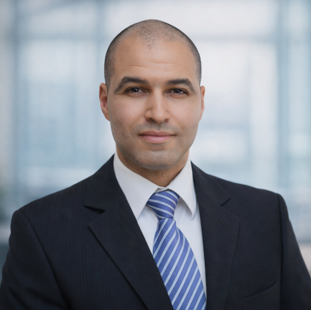 Mehdi Fekih - Consultant
